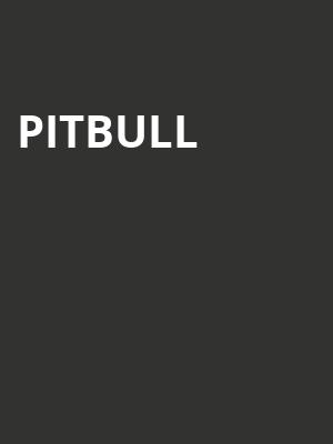 Pitbull, Riverbend Music Center, Cincinnati