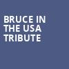 Bruce In The USA Tribute, Live at the Ludlow Garage, Cincinnati