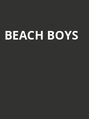 Beach Boys Poster