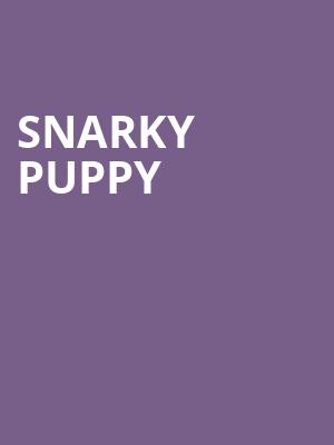 Snarky Puppy, PromoWest Pavilion, Cincinnati