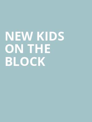 New Kids On The Block, Riverbend Music Center, Cincinnati