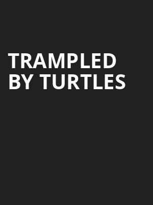 Trampled by Turtles, Andrew J Brady Music Center, Cincinnati