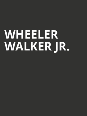 Wheeler Walker Jr, Paramount Arts Center, Cincinnati