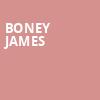 Boney James, Live at the Ludlow Garage, Cincinnati