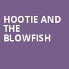 Hootie and the Blowfish, Riverbend Music Center, Cincinnati