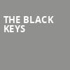 The Black Keys, Riverbend Music Center, Cincinnati