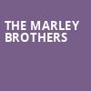 The Marley Brothers, Riverbend Music Center, Cincinnati